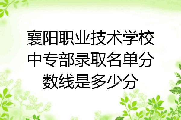 襄阳职业技术学校中专部录取名单分数线是多少分
