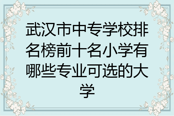 武汉市中专学校排名榜前十名小学有哪些专业可选的大学
