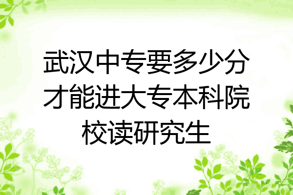 武汉中专要多少分才能进大专本科院校读研究生