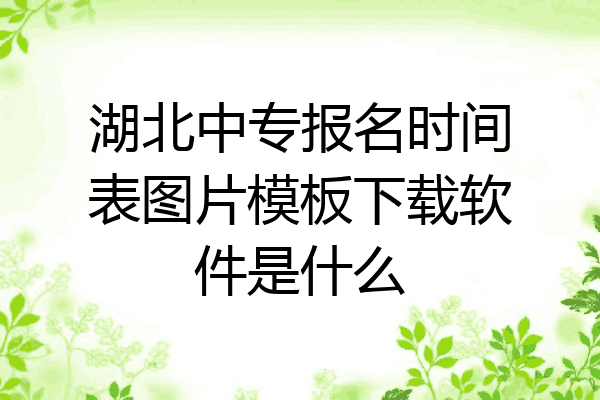 湖北中专报名时间表图片模板下载软件是什么
