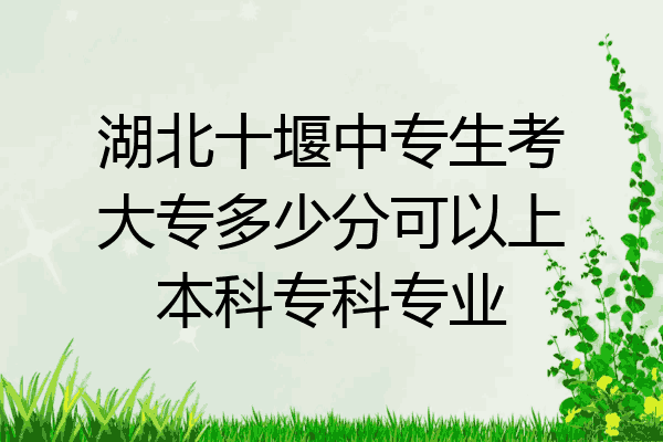 湖北十堰中专生考大专多少分可以上本科专科专业