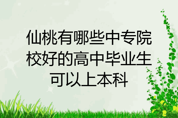 仙桃有哪些中专院校好的高中毕业生可以上本科