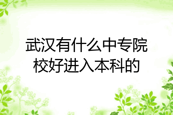 武汉有什么中专院校好进入本科的
