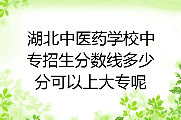 湖北中医药学校中专招生分数线多少分可以上大专呢