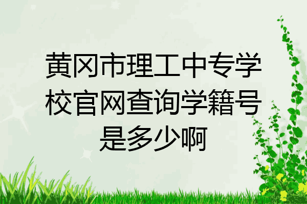 黄冈市理工中专学校官网查询学籍号是多少啊