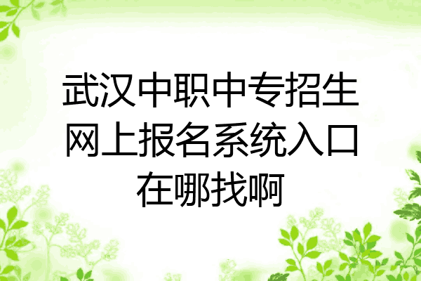 武汉中职中专招生网上报名系统入口在哪找啊