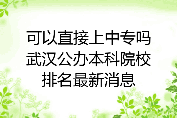 可以直接上中专吗武汉公办本科院校排名最新消息