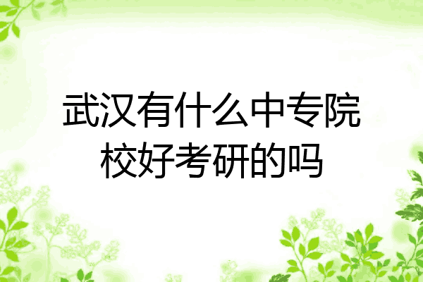 武汉有什么中专院校好考研的吗