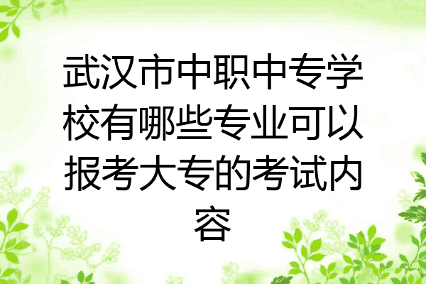 武汉市中职中专学校有哪些专业可以报考大专的考试内容