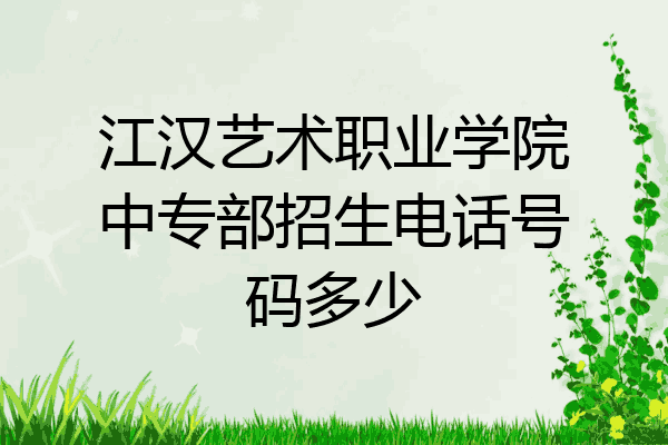 江汉艺术职业学院中专部招生电话号码多少