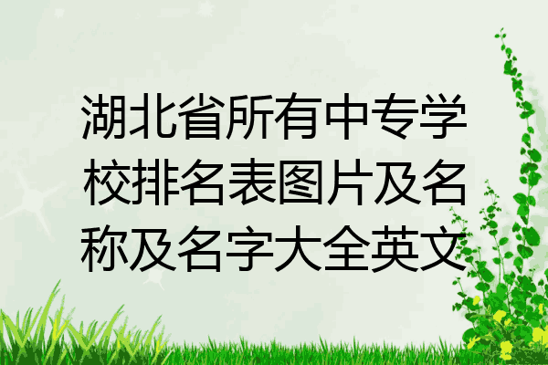 湖北省所有中专学校排名表图片及名称及名字大全英文