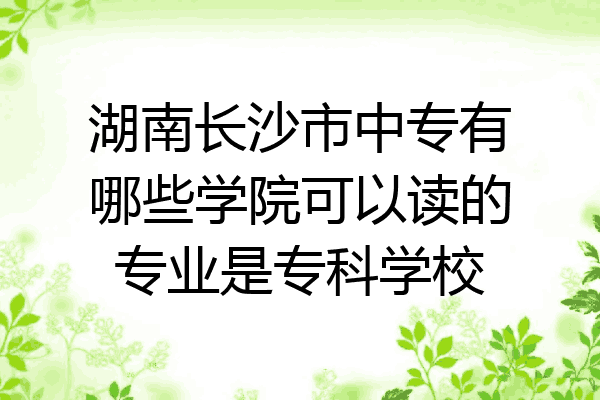 湖南长沙市中专有哪些学院可以读的专业是专科学校