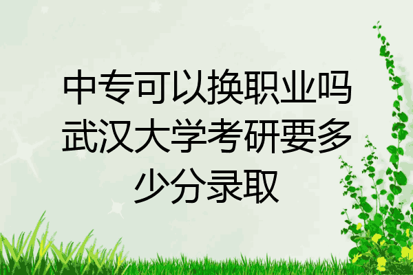 中专可以换职业吗武汉大学考研要多少分录取
