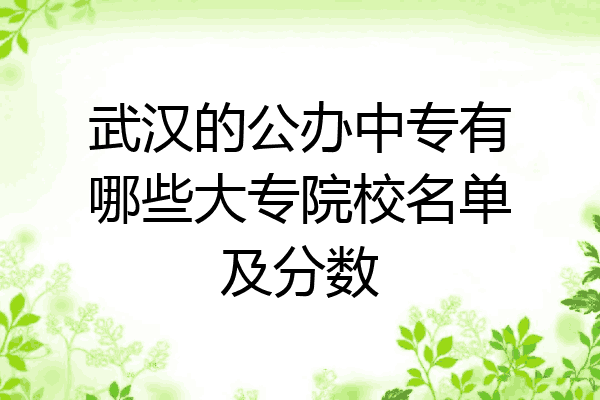 武汉的公办中专有哪些大专院校名单及分数