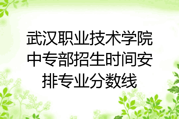 武汉职业技术学院中专部招生时间安排专业分数线