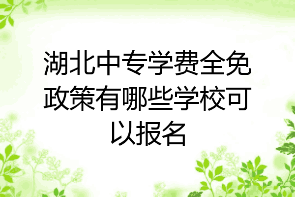 湖北中专学费全免政策有哪些学校可以报名