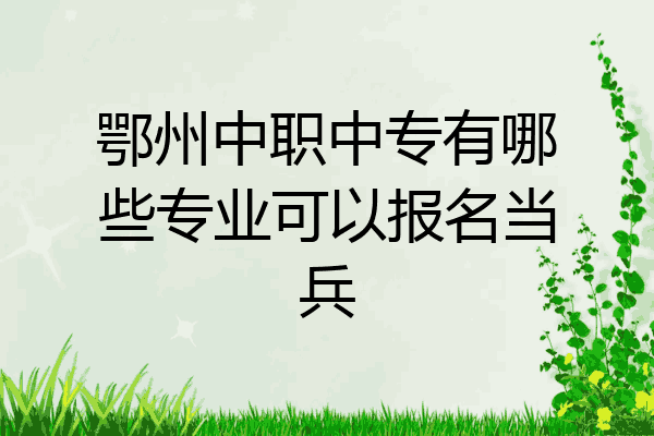 鄂州中职中专有哪些专业可以报名当兵