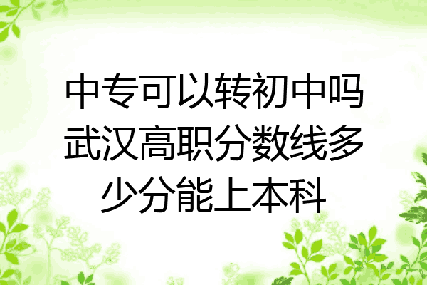 中专可以转初中吗武汉高职分数线多少分能上本科