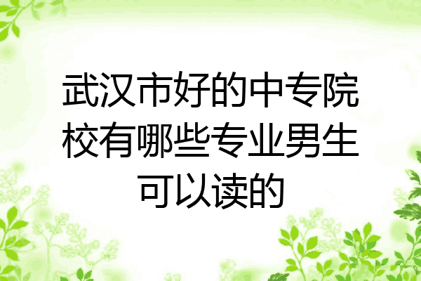 武汉市好的中专院校有哪些专业男生可以读的
