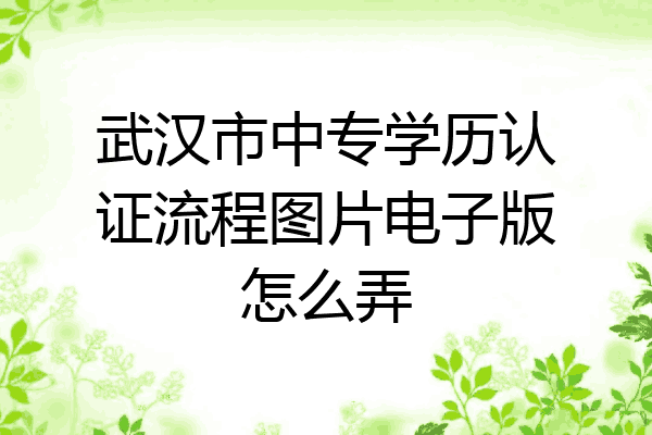 武汉市中专学历认证流程图片电子版怎么弄