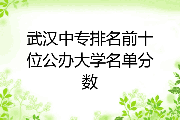 武汉中专排名前十位公办大学名单分数