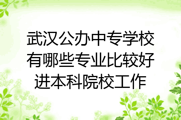 武汉公办中专学校有哪些专业比较好进本科院校工作