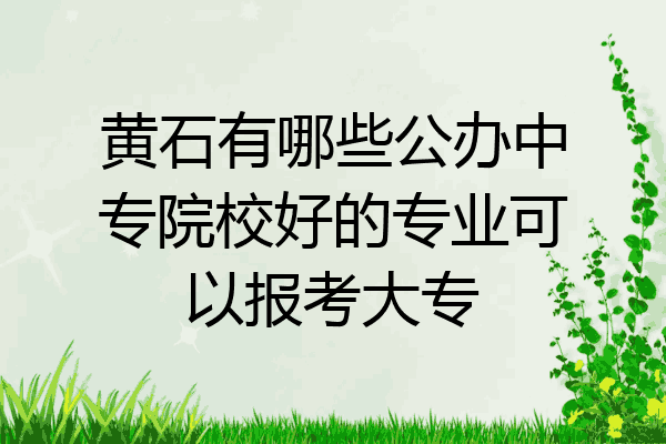 黄石有哪些公办中专院校好的专业可以报考大专