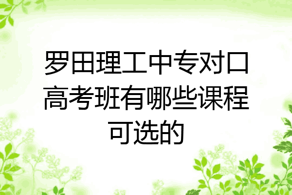 罗田理工中专对口高考班有哪些课程可选的