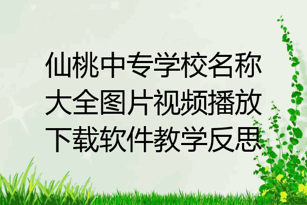 仙桃中专学校名称大全图片视频播放下载软件教学反思