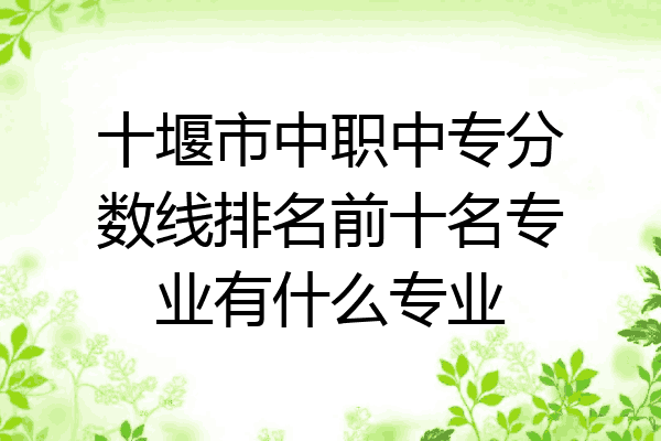 十堰市中职中专分数线排名前十名专业有什么专业
