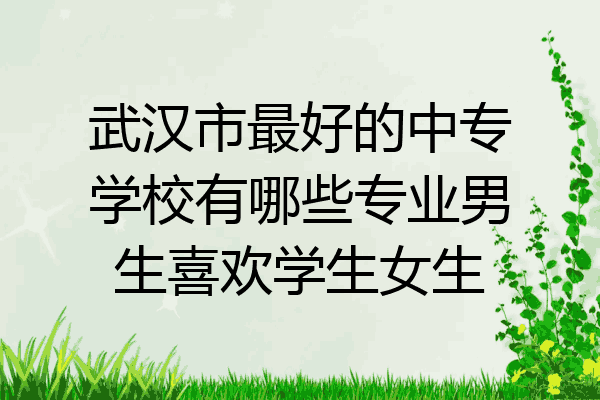 武汉市最好的中专学校有哪些专业男生喜欢学生女生