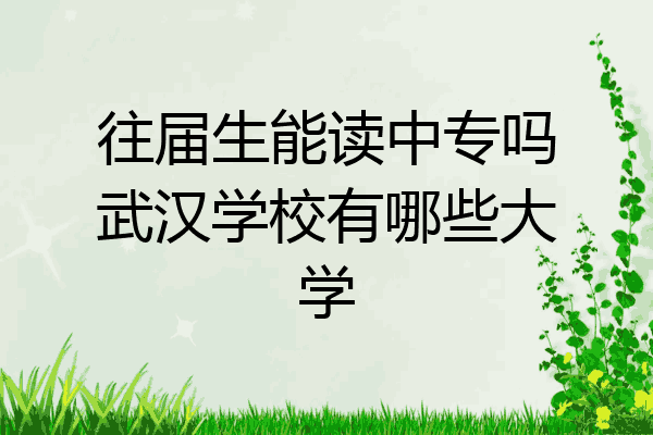 往届生能读中专吗武汉学校有哪些大学