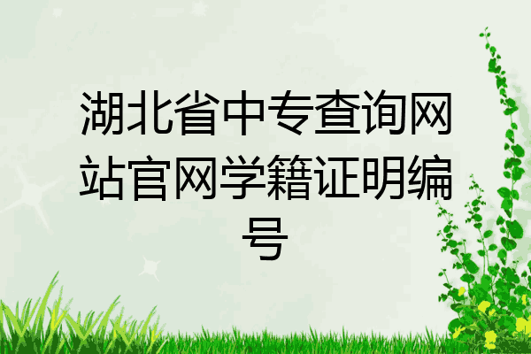 湖北省中专查询网站官网学籍证明编号