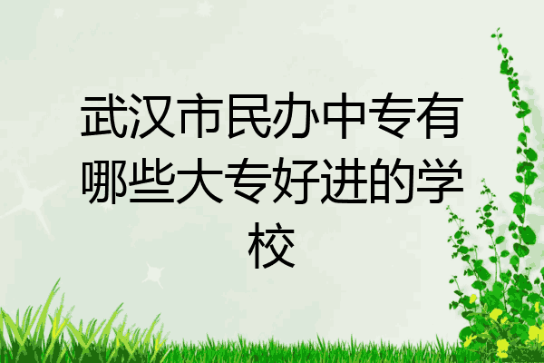 武汉市民办中专有哪些大专好进的学校