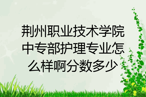 荆州职业技术学院中专部护理专业怎么样啊分数多少