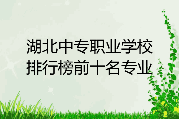 湖北中专职业学校排行榜前十名专业