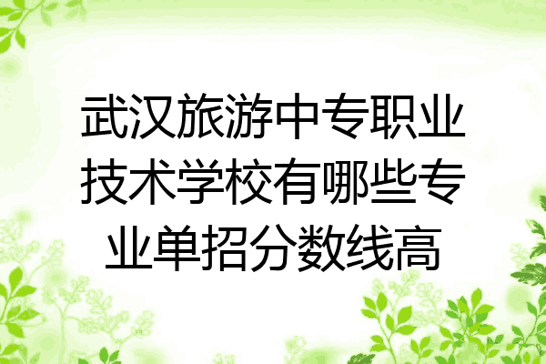 武汉旅游中专职业技术学校有哪些专业单招分数线高
