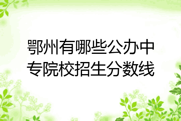 鄂州有哪些公办中专院校招生分数线