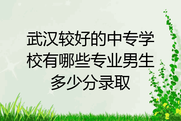 武汉较好的中专学校有哪些专业男生多少分录取