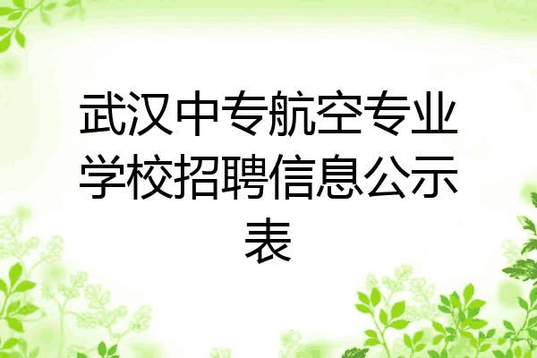 武汉中专航空专业学校招聘信息公示表