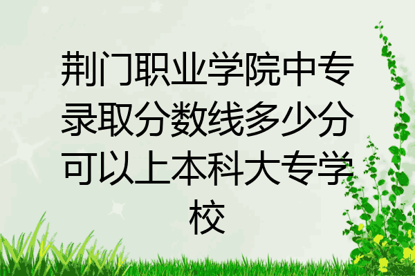 荆门职业学院中专录取分数线多少分可以上本科大专学校