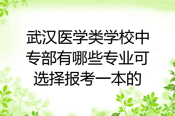 武汉医学类学校中专部有哪些专业可选择报考一本的