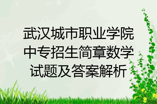 武汉城市职业学院中专招生简章数学试题及答案解析