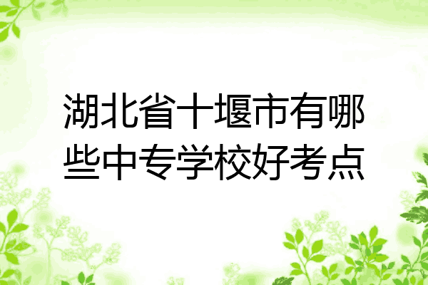 湖北省十堰市有哪些中专学校好考点