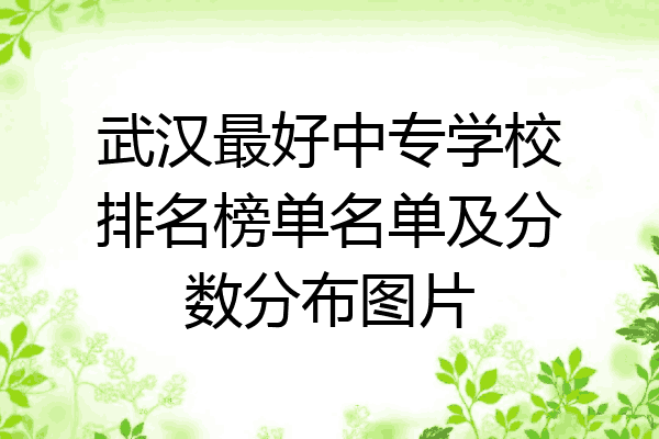 武汉最好中专学校排名榜单名单及分数分布图片