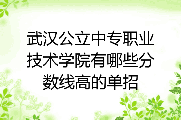 武汉公立中专职业技术学院有哪些分数线高的单招