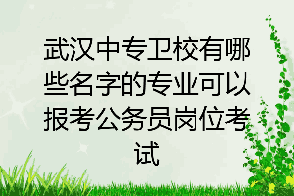 武汉中专卫校有哪些名字的专业可以报考公务员岗位考试