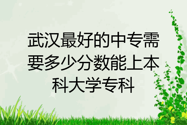 武汉最好的中专需要多少分数能上本科大学专科
