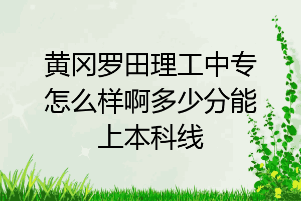 黄冈罗田理工中专怎么样啊多少分能上本科线
