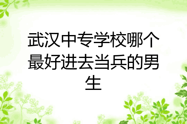 武汉中专学校哪个最好进去当兵的男生